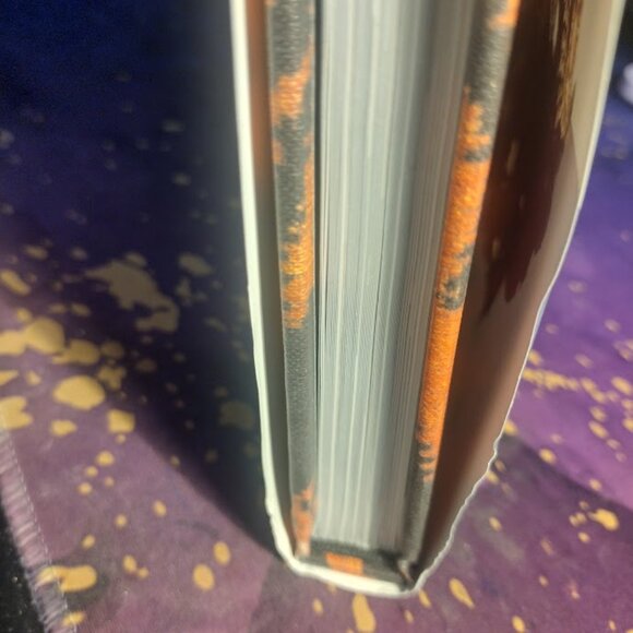 Rare Bird Of Fashion - The Irreverent Iris Apfel by Eric Boman - HB Book - Picture 3 of 7